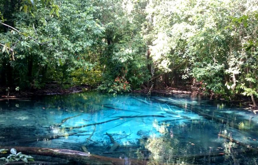 Emerald Pool, Hot Spring Waterfall, Tiger Cave 1 Day