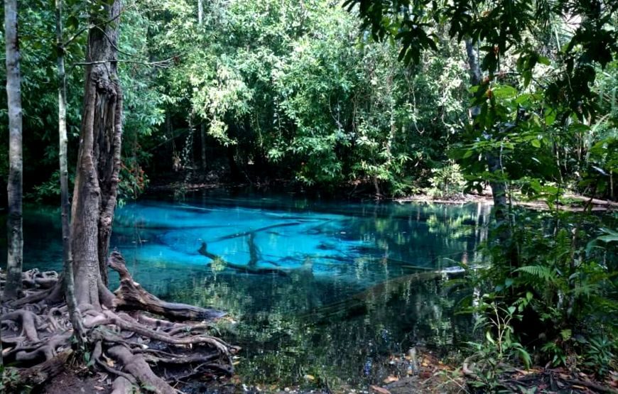 Emerald Pool, Hot Spring Waterfall, Tiger Cave 1 Day