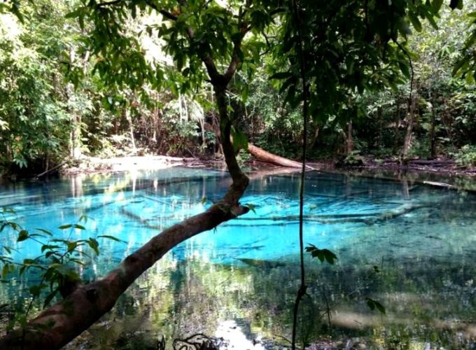 Perfect travel, tour and activity in Aonang Krabi Thailand