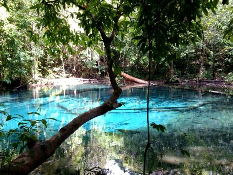 Perfect travel, tour and activity in Aonang Krabi Thailand