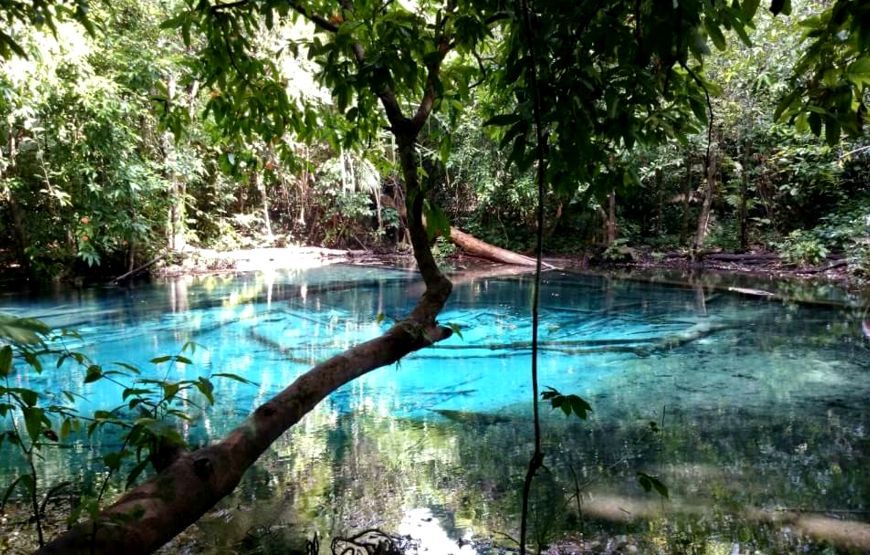 Emerald Pool, Hot Spring Waterfall, Tiger Cave 1 Day