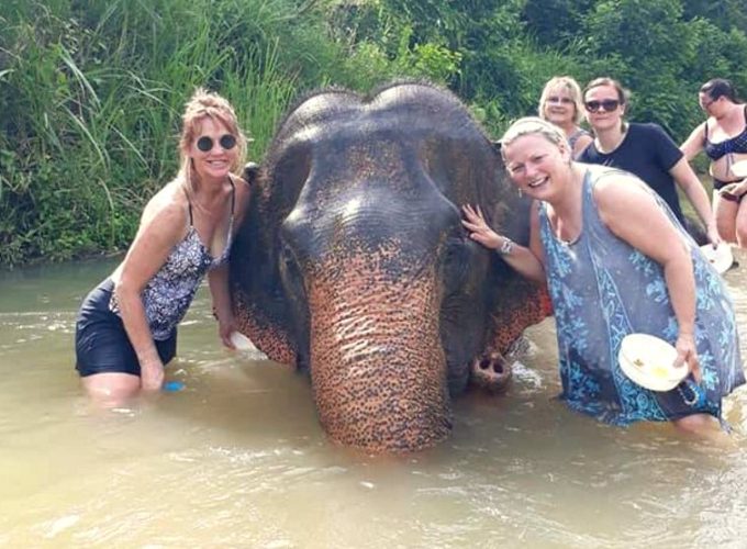 Perfect travel, tour and activity in Aonang Krabi Thailand
