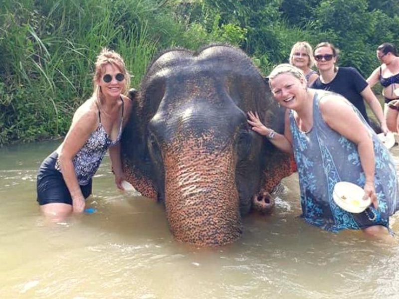 Perfect travel, tour and activity in Aonang Krabi Thailand