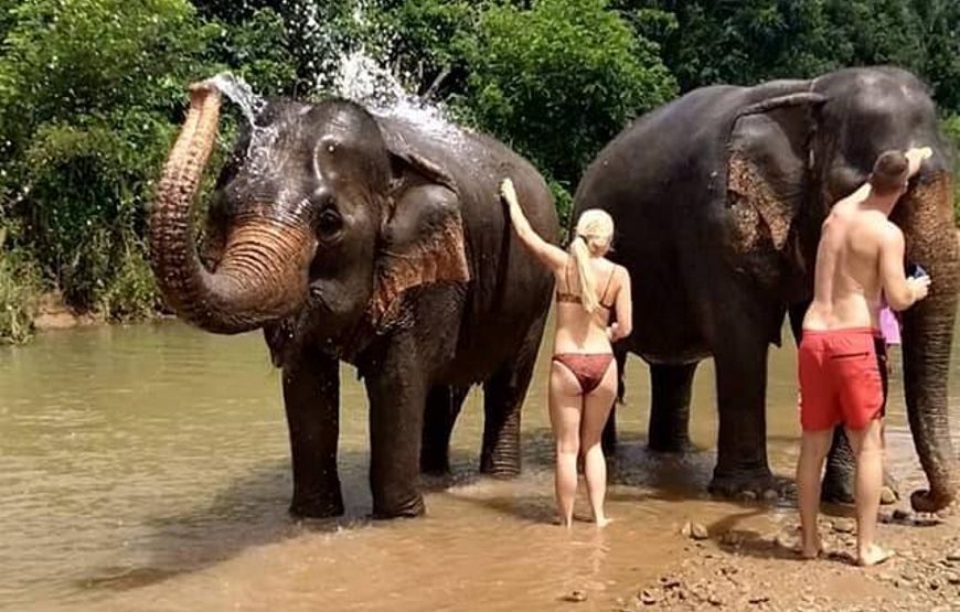Whitewater Rafting 5km and Elephant Sanctuary