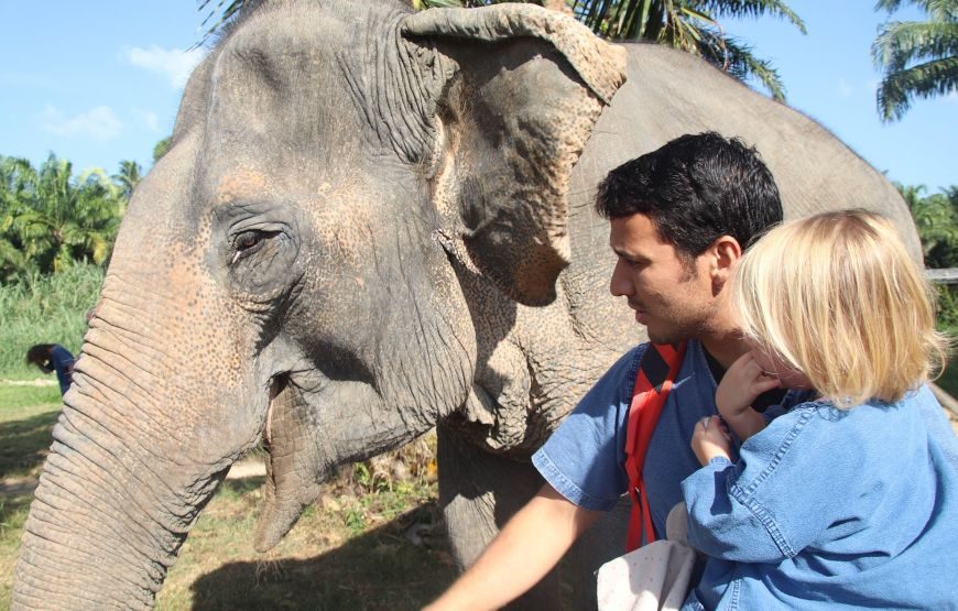Elephant Sanctuary Love not Riding