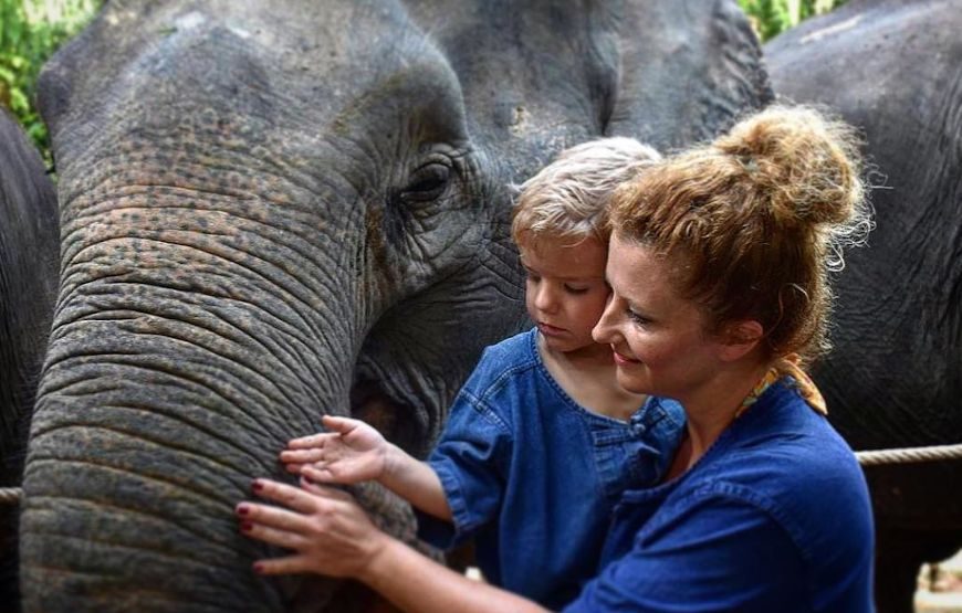 Elephant Sanctuary Love not Riding