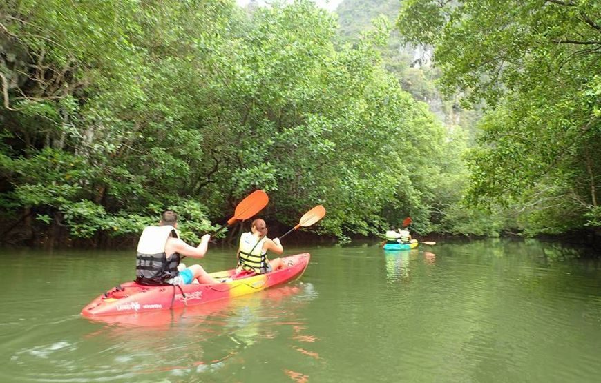 Kayaking Ao Thalane + Elephant Trek – 1 Day
