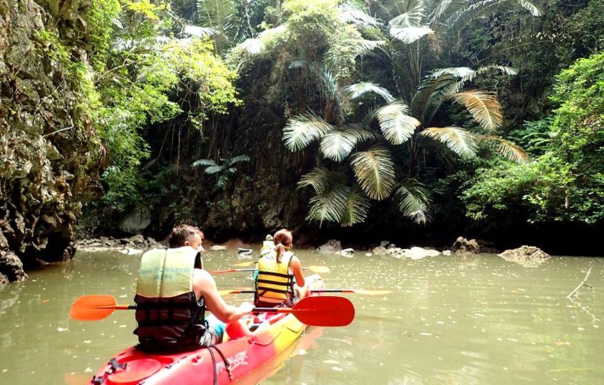 Kayaking Ao Thalane + Elephant Trek – 1 Day