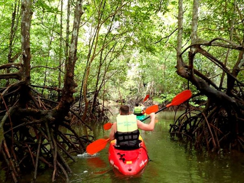 Perfect travel, tour and activity in Aonang Krabi Thailand