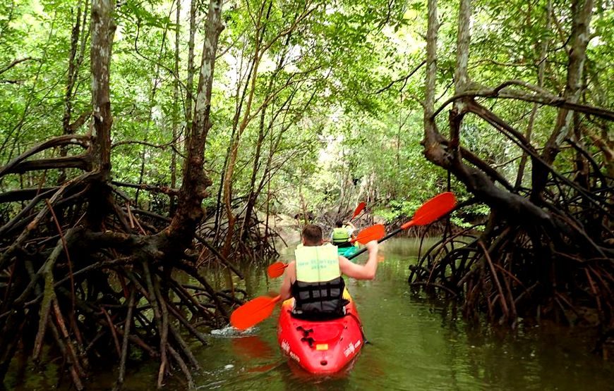 Kayaking Ao Thalane Sunset & BBQ Dinner