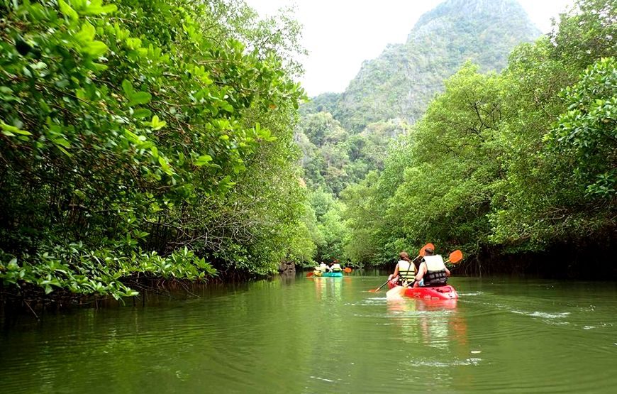 Kayaking Ao Thalane + Elephant Trek – 1 Day