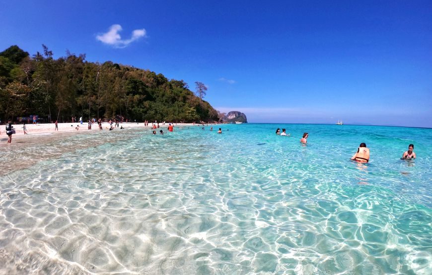 Phi Phi Island Tour by Speed Boat