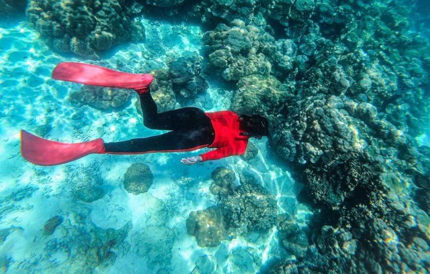 Koh Rok + Koh Haa Islands Private Tour by Speedboat