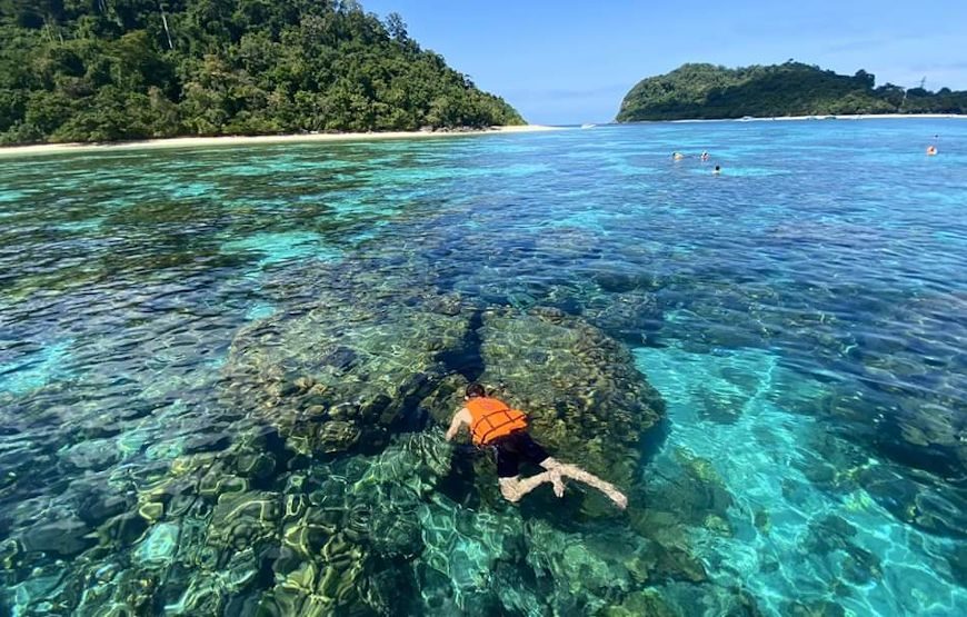 Koh Rok + Koh Haa Islands Private Tour by Speedboat
